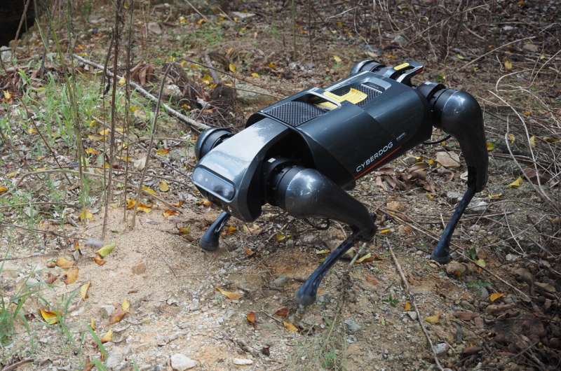 Researchers use AI and robotic dog to fight invasive fire ants